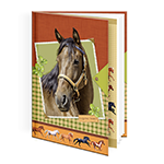 Dětské památníky a bloky