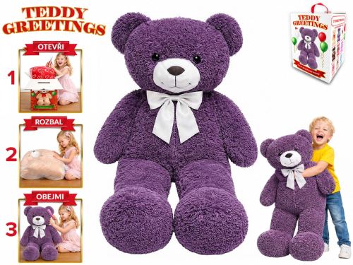 Teddy Greetings medvěd plyšový 120cm s mašlí fialový 0m+ v dárkové krabičce