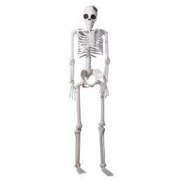 Kostlivec 165 cm Halloween