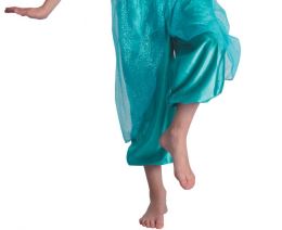 Dětský kostým Arabská princezna (košile, kalhoty, čelenka), velikost 130/140 cm (1)