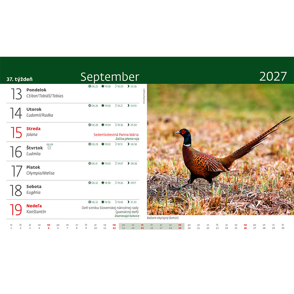 Helma 365 Stolový kalendár 2027 Poľovnícky kalendár