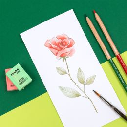Pastelky MILAN šestihranné/akvarelové 5 ks s vodním štětcem (5)