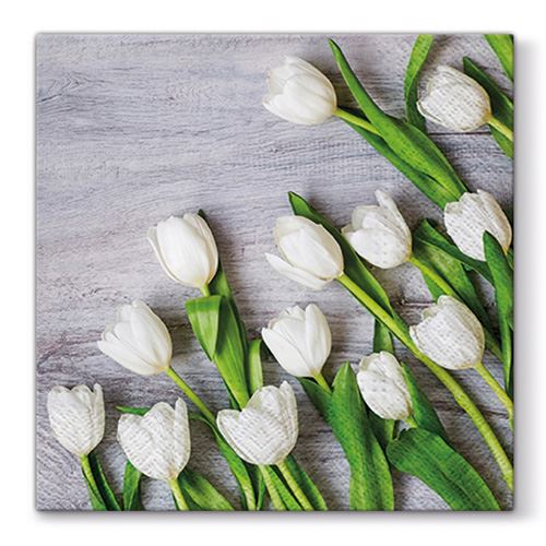 Obrúsky PAW L 33X33cm White Tulips