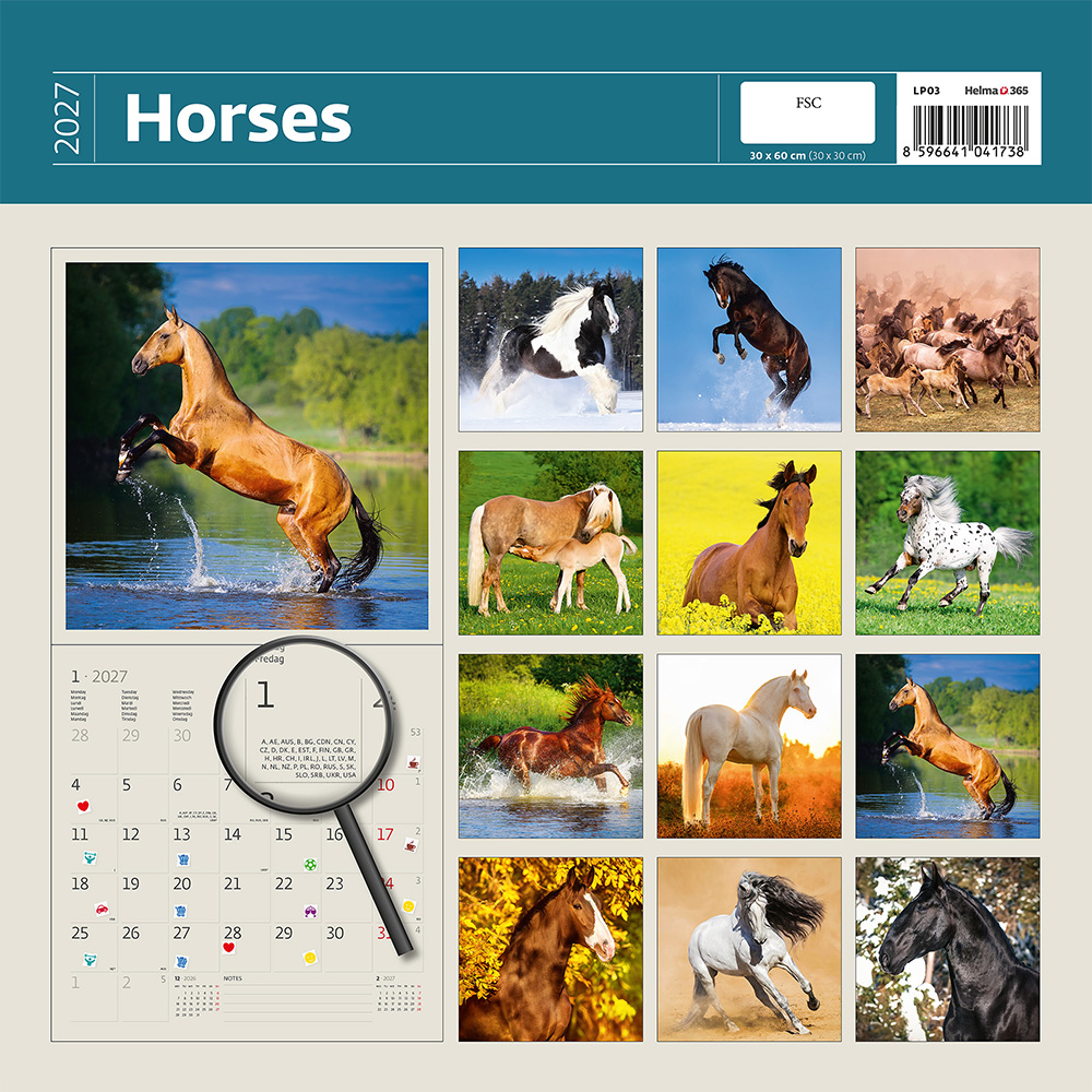 Helma 365 Nástenný kalendár 2027 Horses