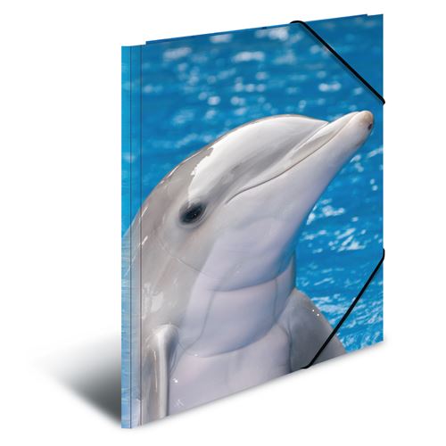 Doska s gumičkou PP A3 Delphins