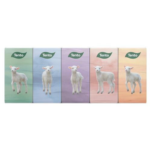 Hygienické kapesníky Tento Natural Softness, 1 ks