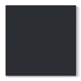 Ubrousky PAW AIRLAID L 40x40cm Unicolor Black