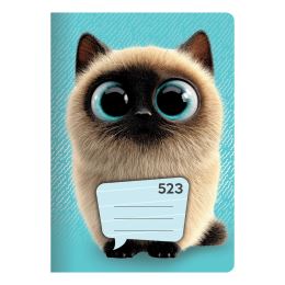 Sešit A5, 20 listový - linkovaný 523 Exclusive (7)