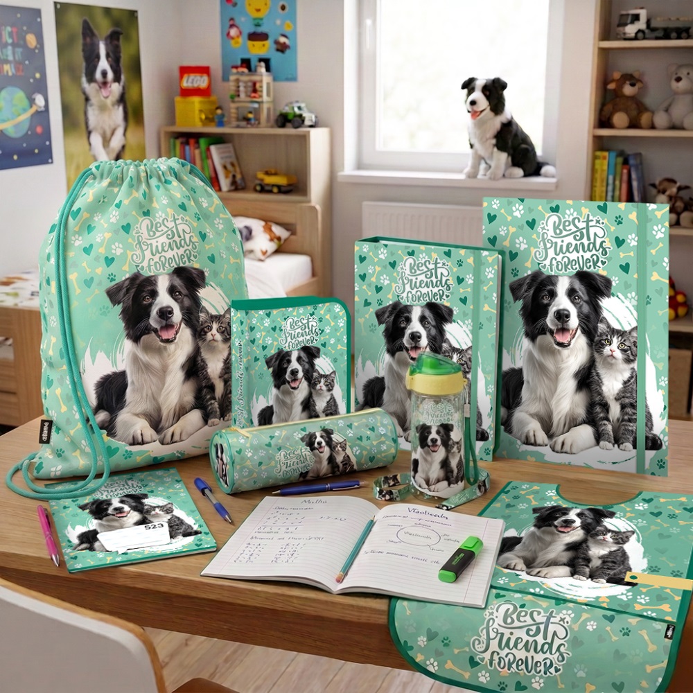 JUNIOR Box na sešity A5 Jumbo MAX S9 Best Friends Forever