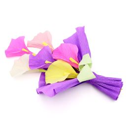 Krepový papír JUNIOR 100x25 cm SOFT Florist (sada 6 ks) (2)
