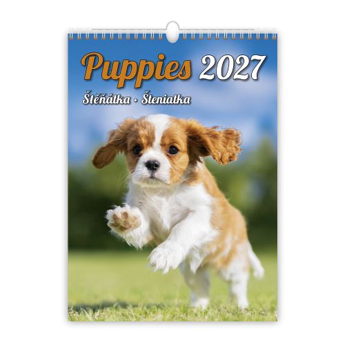 Nástěnný kalendář 2027 Puppies/Štěňátka/Štěňátka